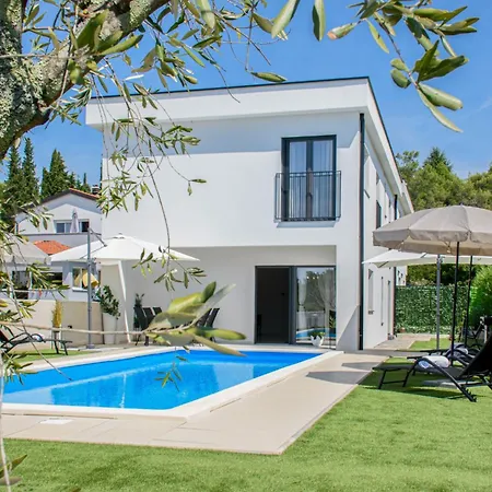 Modern Angelina In - By Istrabook Villa